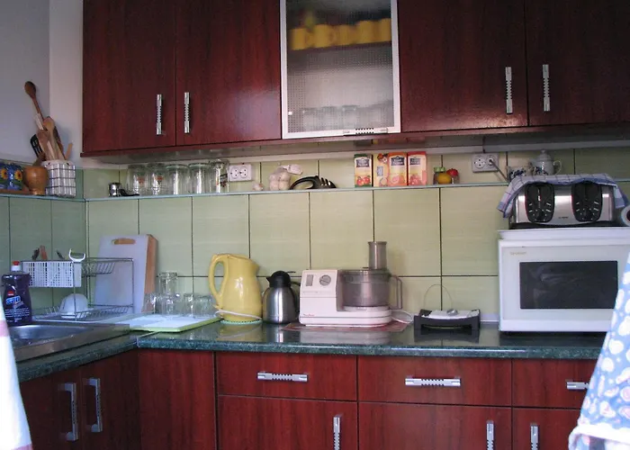 Elga's Punk Rock * Vama Veche