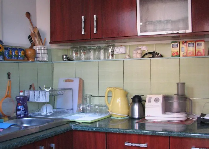 Elga's Punk Rock Vama Veche