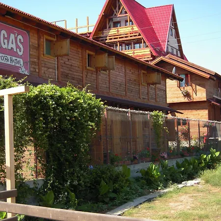 Elga's Punk Rock بيت شباب