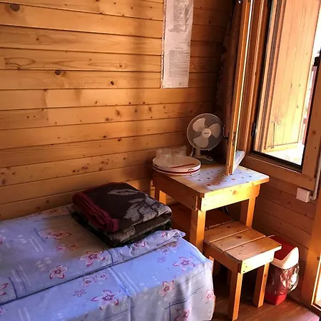 Elga's Punk Rock Vama Veche