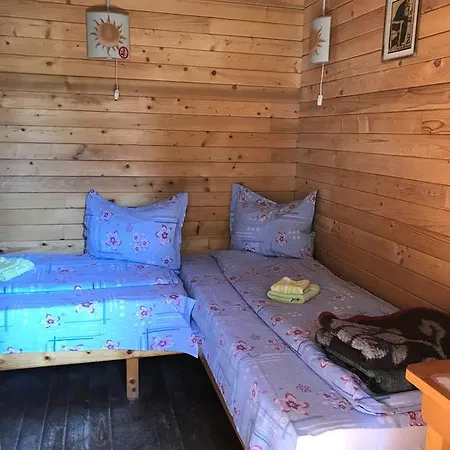 Elga's Punk Rock Hostel *