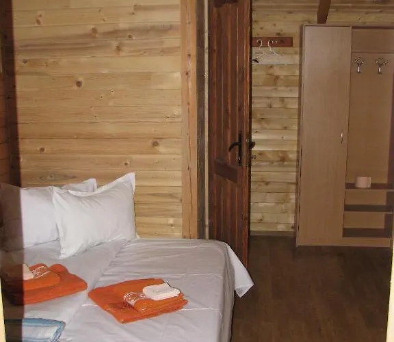 Elga's Punk Rock * Vama Veche