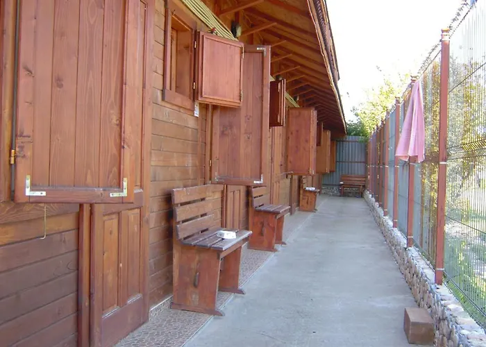 Hostel Elga's Punk Rock *