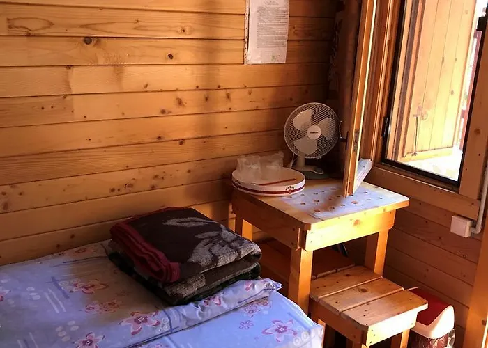 Elga's Punk Rock Vama Veche