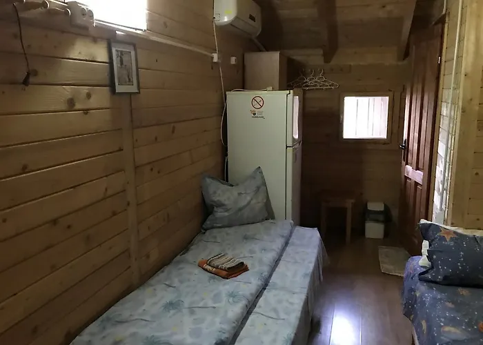 Hostel Elga's Punk Rock Vama Veche