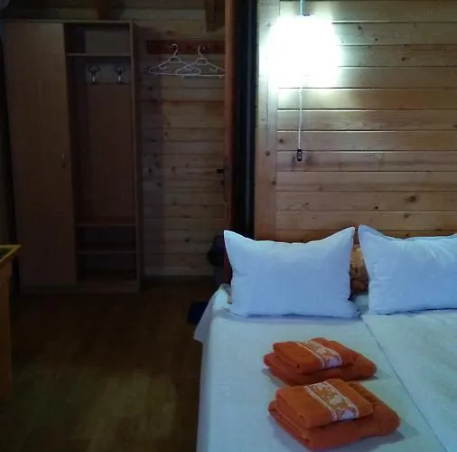 Hostel Elga's Punk Rock *